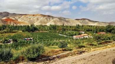 آبان‌ماه ۱۴۰۳ سرشماری کشاورزی رسما آغاز می‌شود